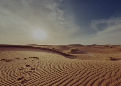 Sunrise Desert Safari